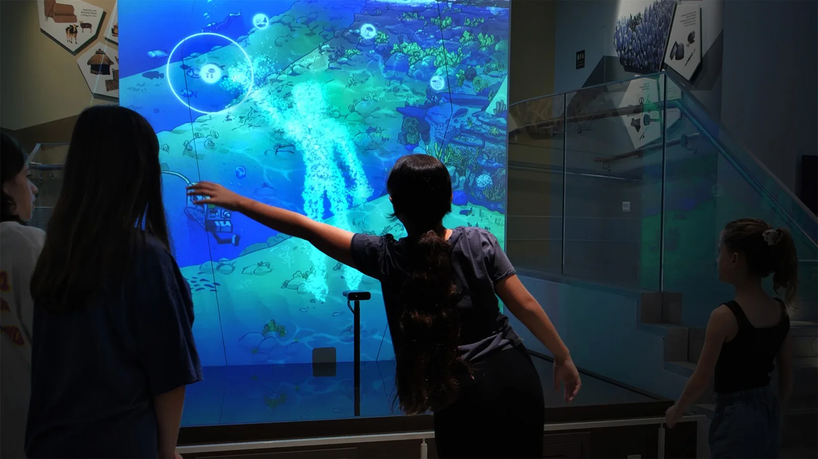 Museum of Natural History — project image